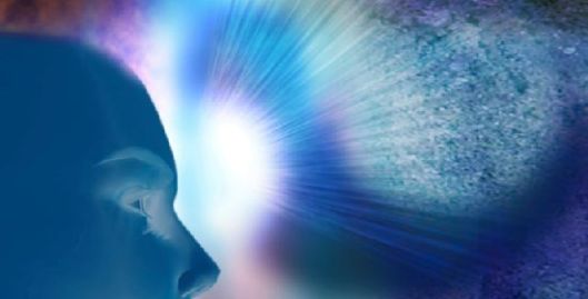 cervello_intelligenza