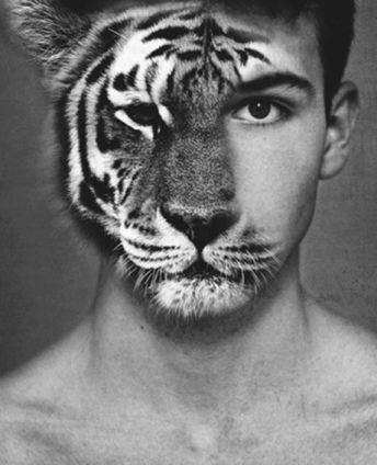 uomo-tigre